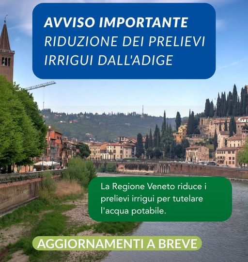 acqua